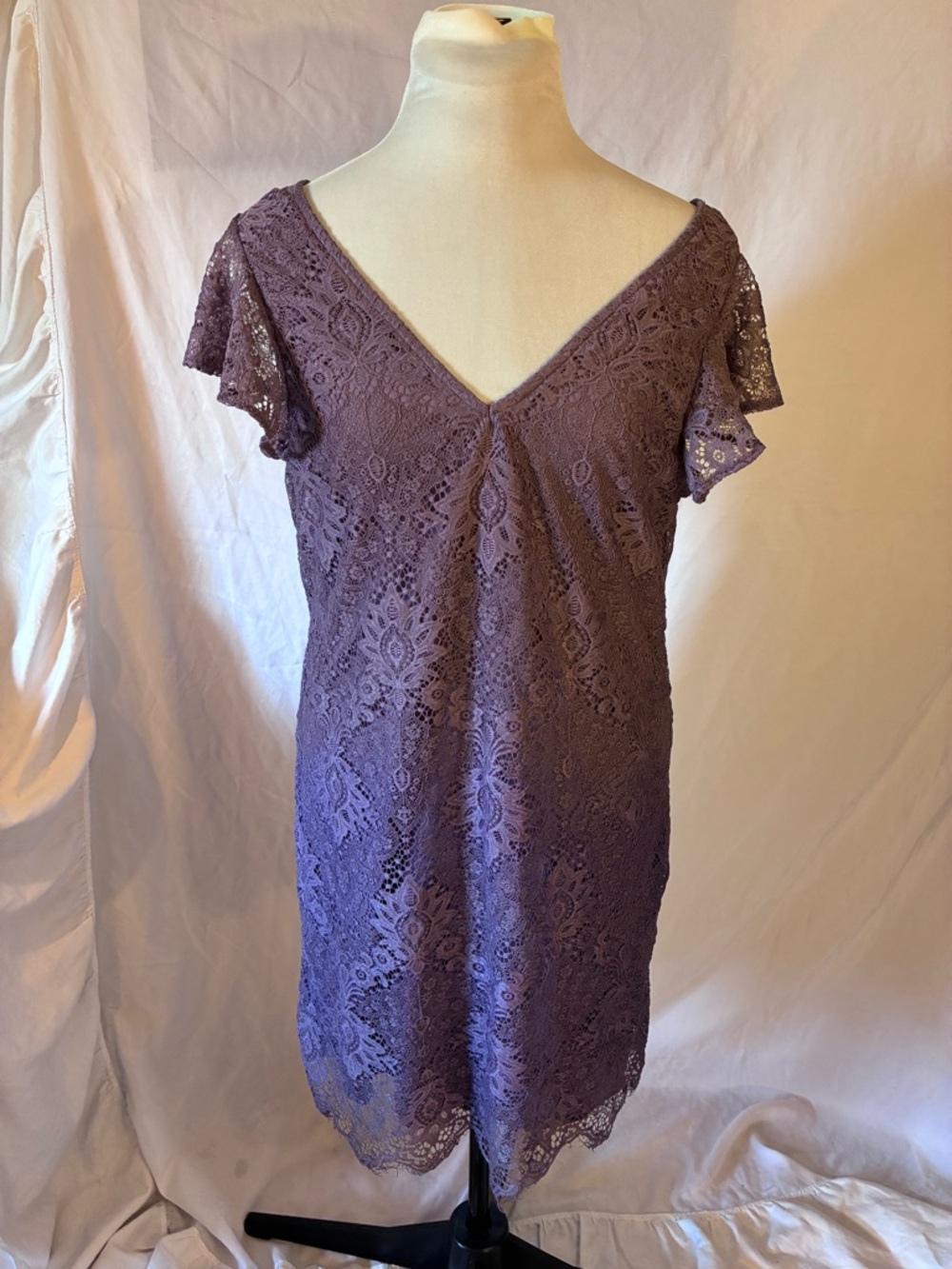 Francesca’s Lace Flutter Sleeve Mini Dress